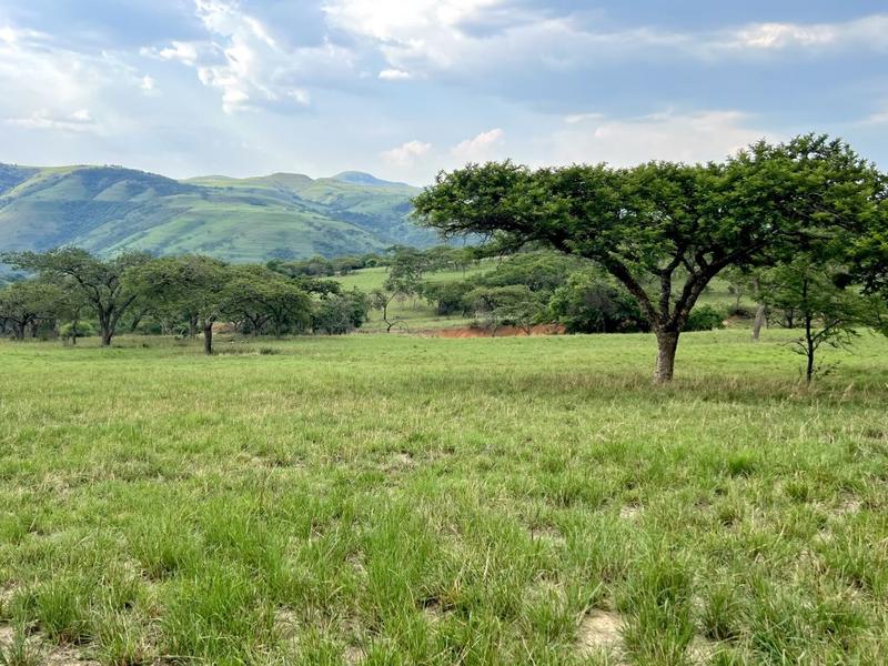 0 Bedroom Property for Sale in Harrismith Free State